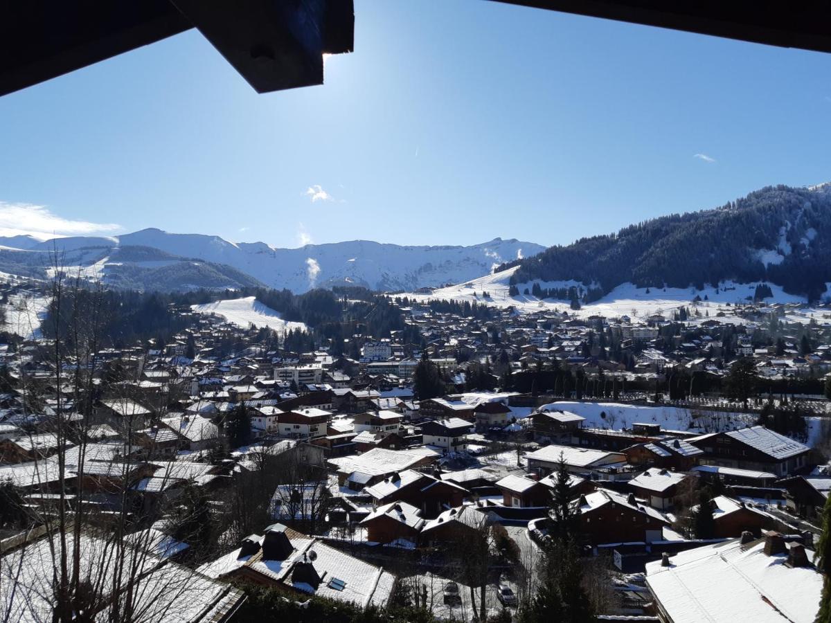 Horizon Blanc Chalet *
